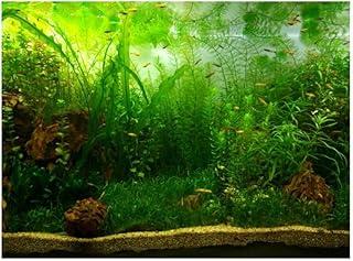 Aquarium Fish Tank Background Poster PVC Adhesive Decor Paper Green Water