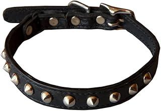 Kitty Planet Cat Collar – Outlaw Studded Kitten