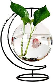 Small Table Glass Fish Vase Aquarium for Home Decor