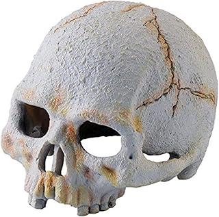 Primaten Skull – Exo Terra