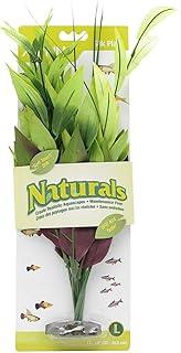 Marina Naturals, Green Pickerel Silk Plant