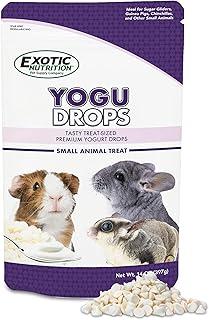 All Natural Healthy Yogurt Treat for Sugar Gliders, Prairie Dogs