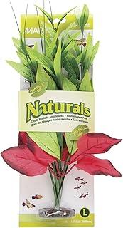 Marina Naturals, Red/Green Pickerel Silk Plant