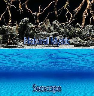 Seaview/Natural Mystic 24 Aquarium Double-Sided Background