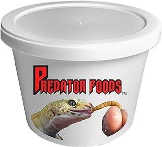 Predator Foods Bulk Live Mealworm