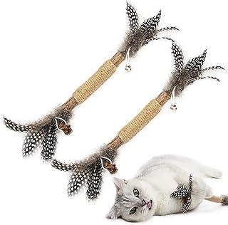 Cat Toys Feather catnip